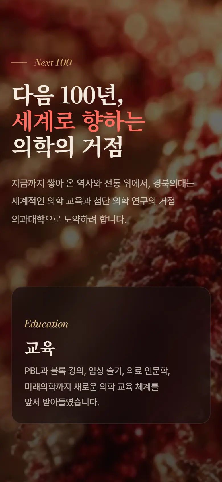A · 다음 100년 모바일 화면