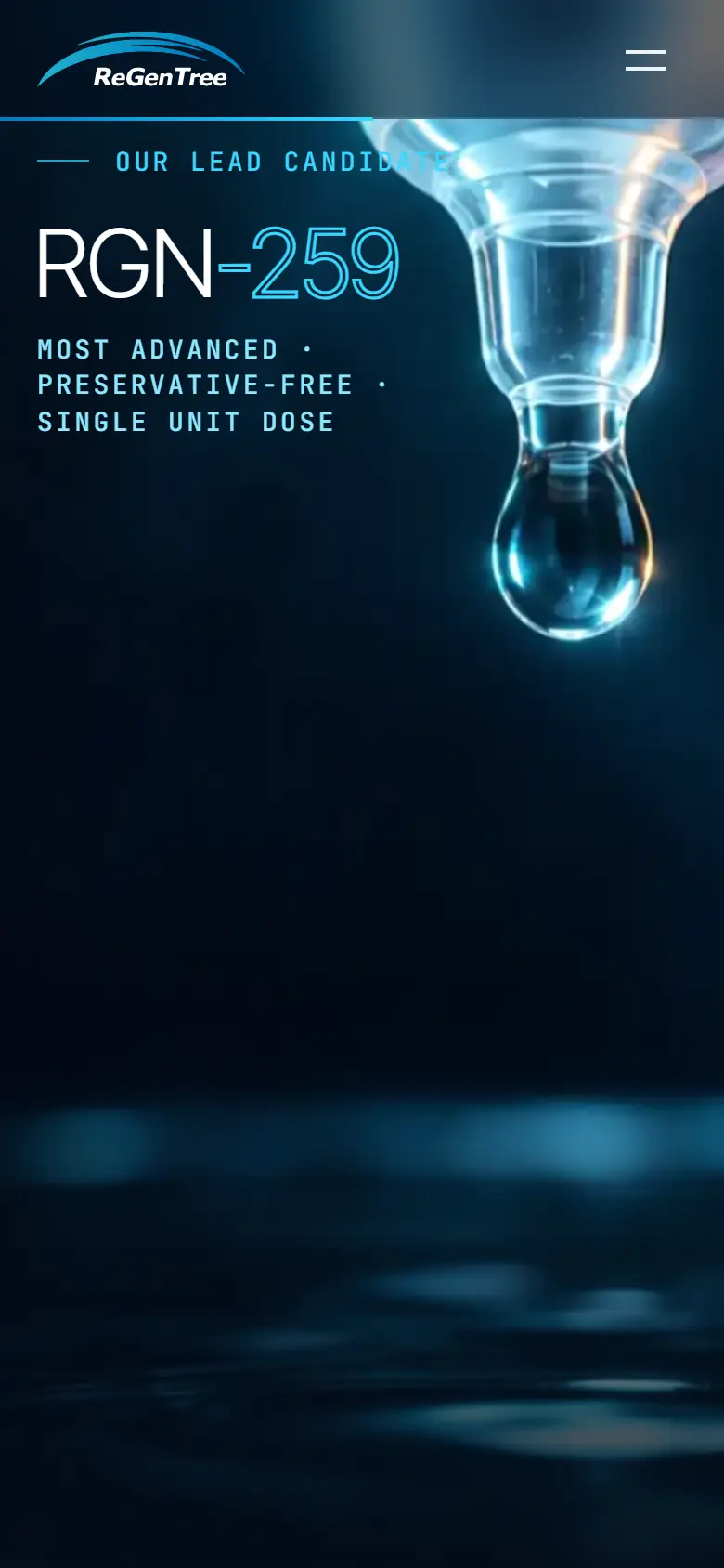 10월 · 점안 모바일 화면