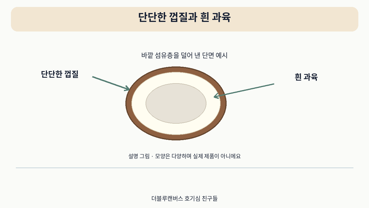 소개 영상의 설명 그림 · 단단한 껍질과 흰 과육. 실제 사용 사진이 아니에요.